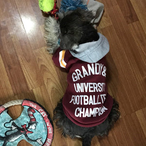Soft Warm Pet Sweater For Everyday Wear