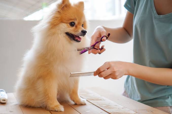 Making Grooming Part Of Routine